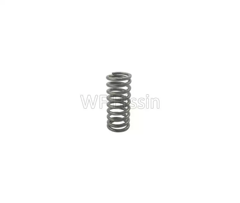 Brake spring TD
